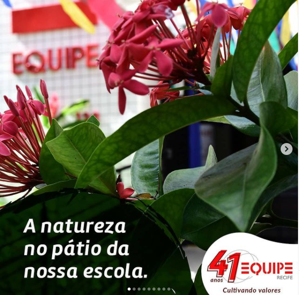 A natureza no pátio da nossa escola.