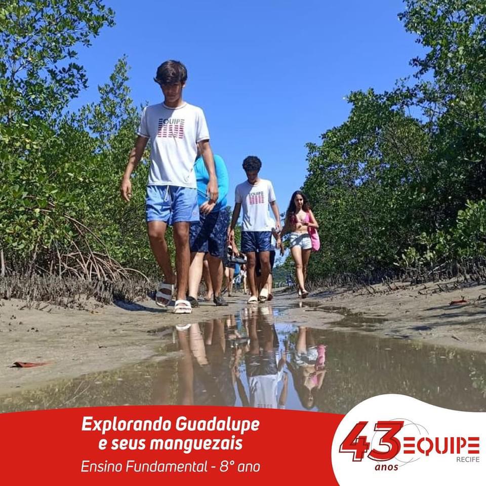 Explorando Guadalupe e seus manguezais. Ensino Fundamental - 8º ano.