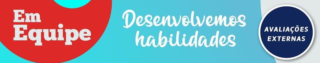 Em Equipe. Desenvolvemos habilidades. Avaliações Externas.